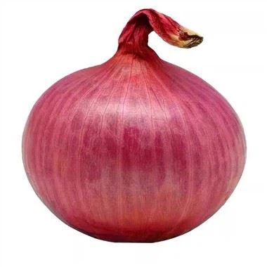 Red Onion Seeds