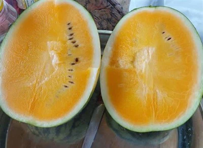 Yellow Watermelon Seeds