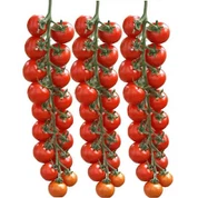 F1 Hybrid Heat And Cold Resistant Red Round Cherry Tomato Seeds