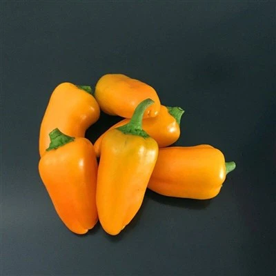 F1 Hybrid Sweet Mini Yellow Snack Pepper Seeds Vegetable Seeds China Origin
